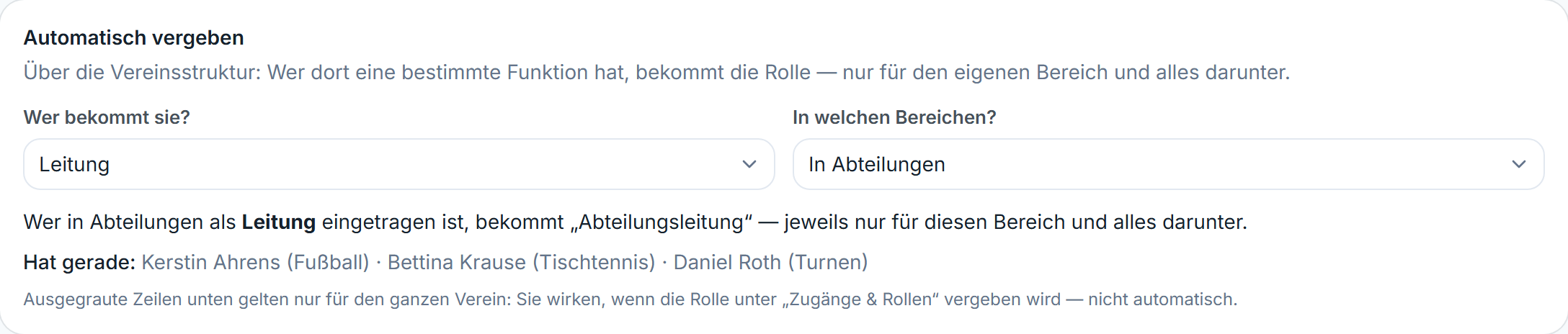 Abschnitt „Automatisch vergeben“ einer Rolle